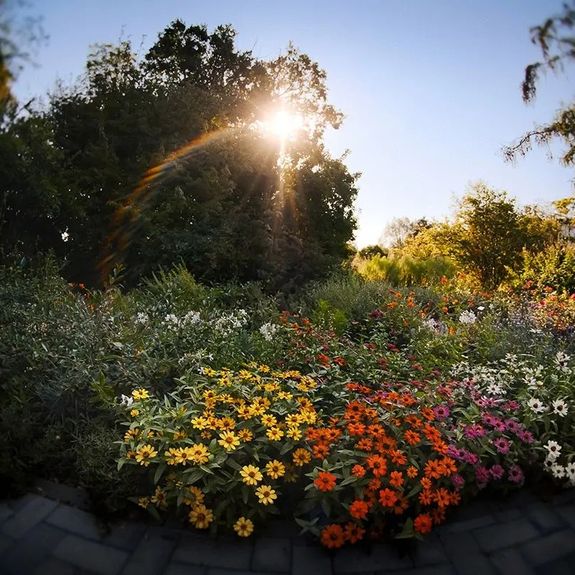 Kam se ve městě schovat před třicítkovými vedry? Třeba do přírodovědecké botanické zahrady @unigardenolomouc! 🪻🌳

I v parných letních dnech si tu lze odpočinout ve vlahém stínu ořešáků královských a dalších košatých stromů. A samozřejmě obdivovat záplavu srpnových květů – třeba ibišky, krásnoočka nebo některé druhy slunečnic. Tak se zastavte!

Více o zahradě a dalších hezkých místech na naší univerzitní půdě stále najdete na webu unitrips.cz. Link v biu. 👆
.
.
.
#univerzitapalackeho @prf_upol #palackyuniversity #olomouc #univerzitnimesto