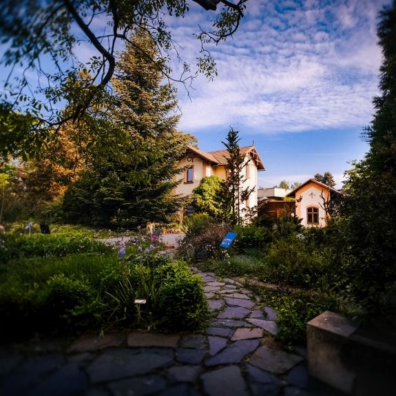 Už jste se byli letos podívat do naší kvetoucí botanky? 🪻

Botanická zahrada @unigardenolomouc je vyhlášenou zelenou oázou klidu a pastvy pro oči uprostřed rušného města. V jarních měsících to platí obzvlášť. 🌼  Živá květena se tu s plynoucími dny a týdny proměňuje, ale v přednáškovém sále nové hlavní budovy můžete ještě do poloviny června navštívit i výstavu „Krajiny v hlavě“ malíře a přírodovědce Radima Hédla. Teď v hlavní části sezóny je zahrada otevřená pro veřejnost každý všední den od 9 do 18 hodin. Tip na milou procházku při zkouškovém období!

Nevíte, kudy tam? Mapu a další informace najdete na webu 🔎 unitrips.cz, který je plný dalších tipů na procházky, památky a další zajímavá místa na naší akademické půdě. Link v biu. ☝️
.
.
.
#univerzitapalackeho #palackyuniversity #olomouc #univerzitnimesto @prf_upol