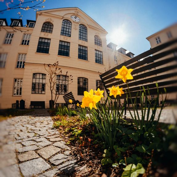 Už vám říkali, že na fildě je to teď jeden narcis vedle druhého?

Tak tím mysleli tohle. Nic jiného. 🏵️🤞

#univerzitnimesto